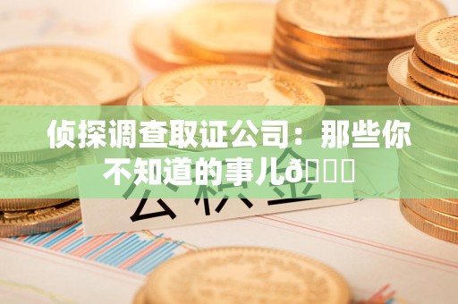 梅列侦探调查取证公司：那些你不知道的事儿😎